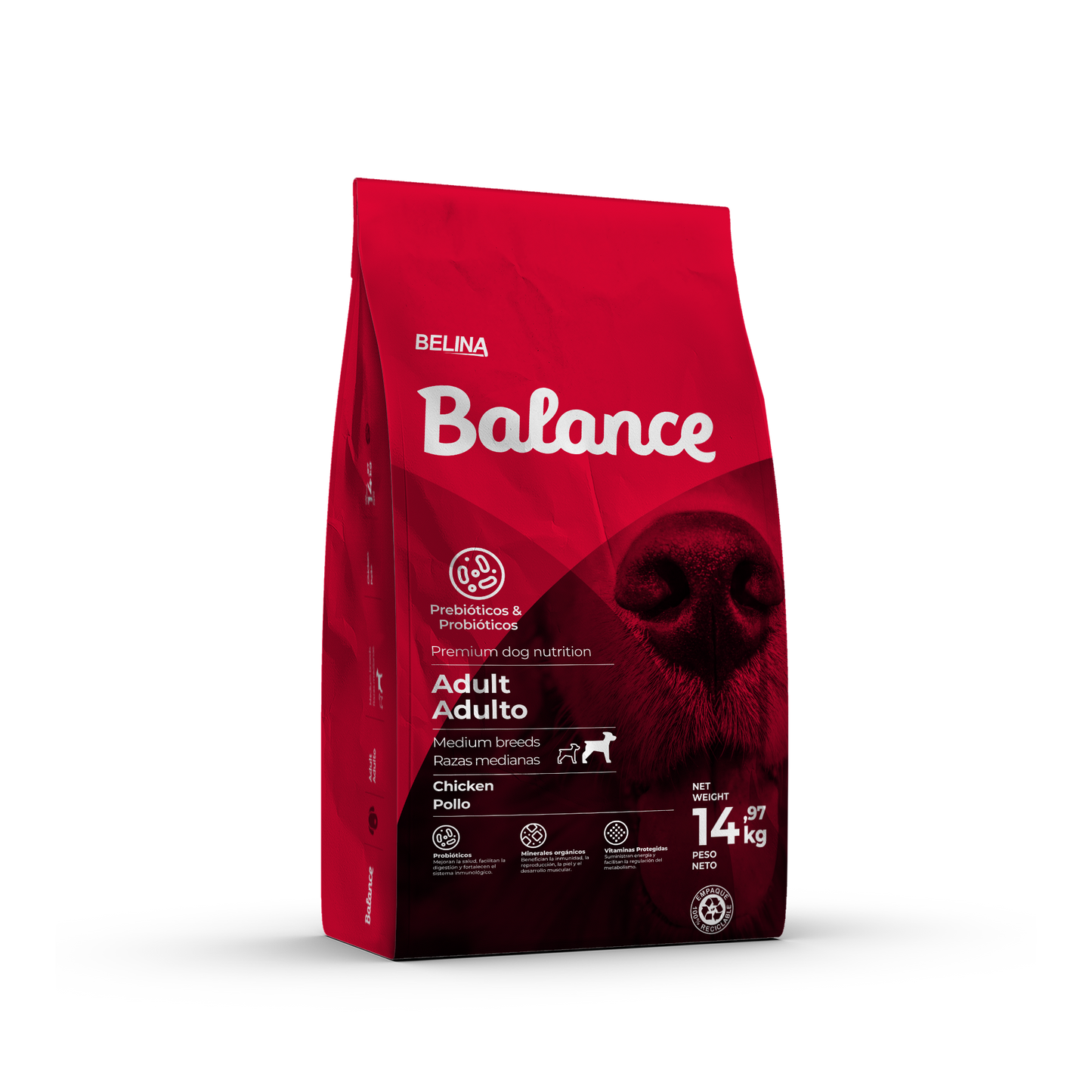 Bolsa de comida seca para perro adulto marca Balance