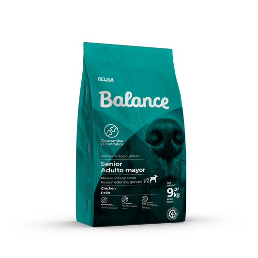 Perro senior mediano/grande