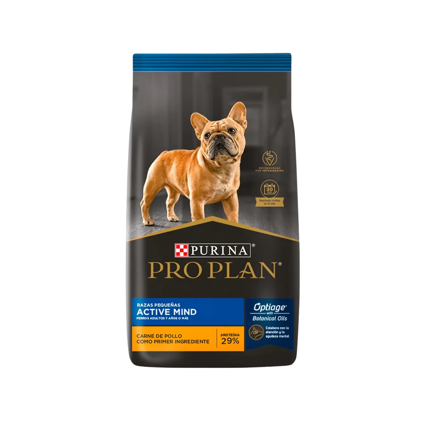 Perro senior pequeño