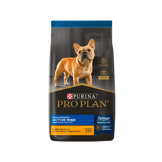 Perro senior pequeño